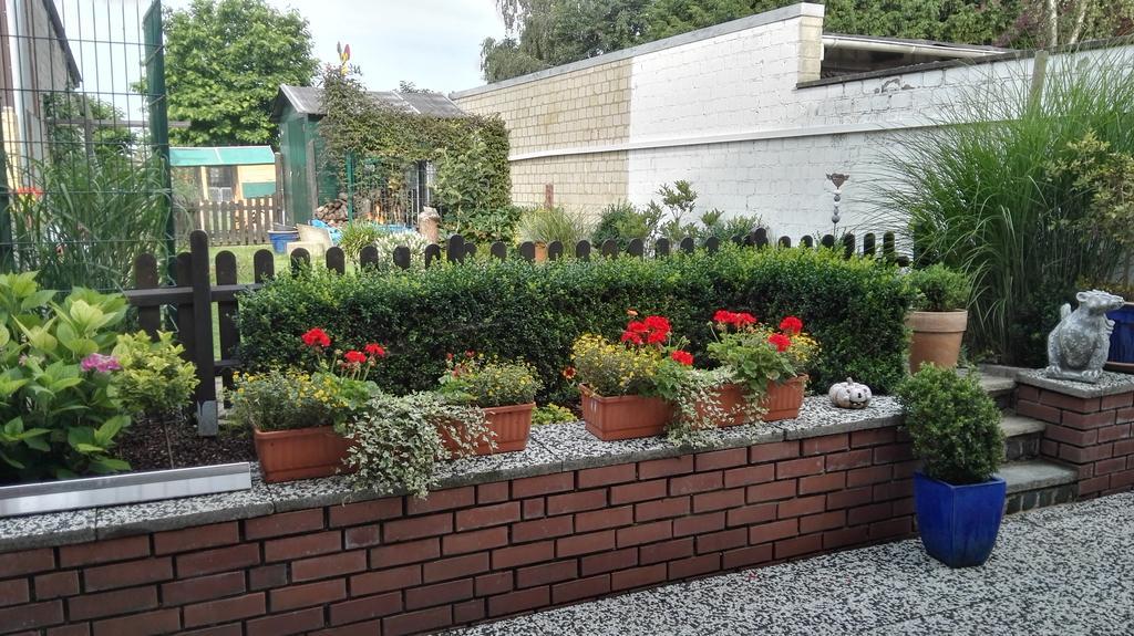 Ferienwohnung Neuss Spelter المظهر الخارجي الصورة